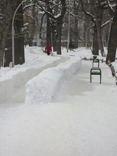Зима в Саратовском парке.jpg