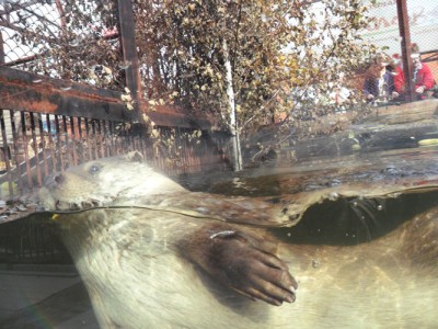 ZOO_4.JPG