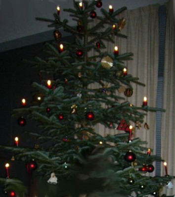 Weihnachten_2007.JPG